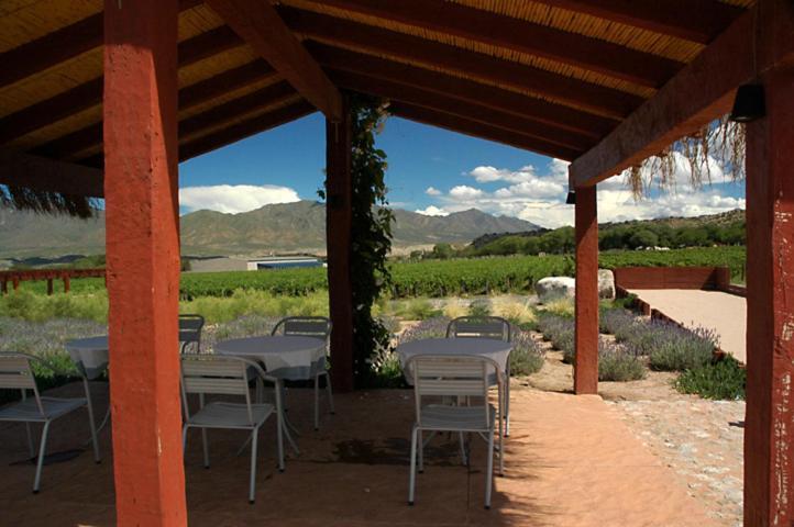 Estancia Colome Molinos Kültér fotó