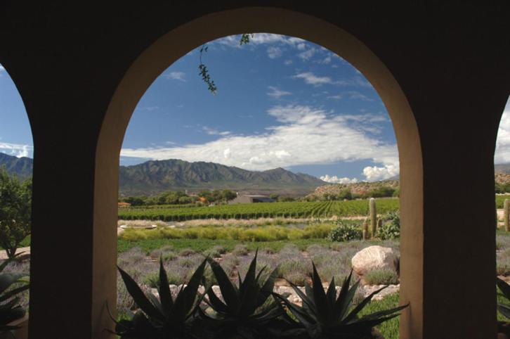Estancia Colome Molinos Kültér fotó