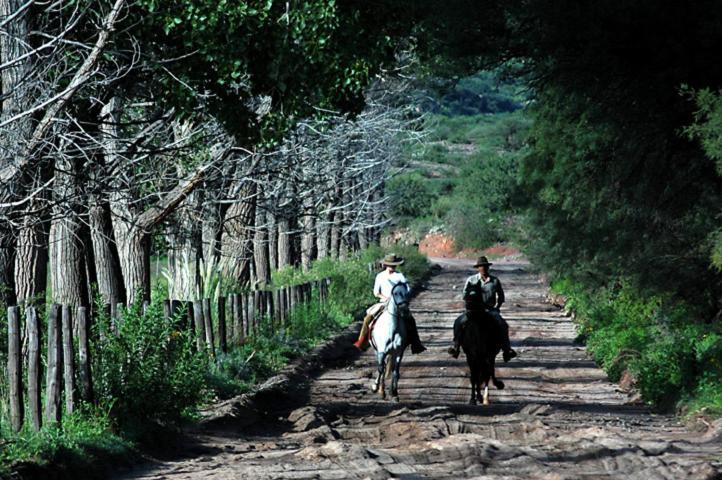 Estancia Colome Molinos Kültér fotó