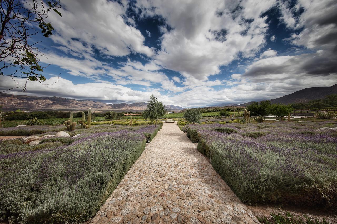 Estancia Colome Molinos Kültér fotó