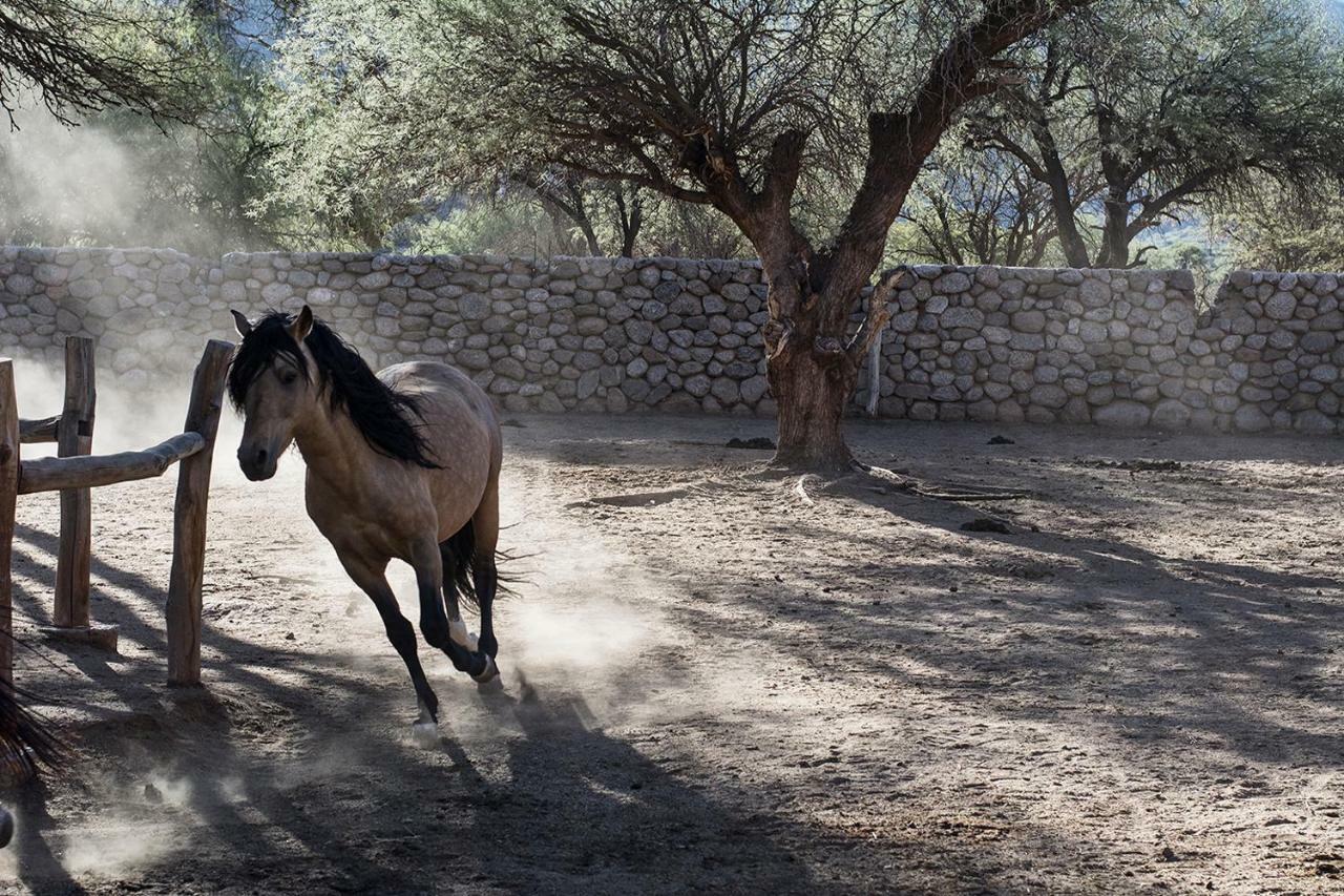 Estancia Colome Molinos Kültér fotó