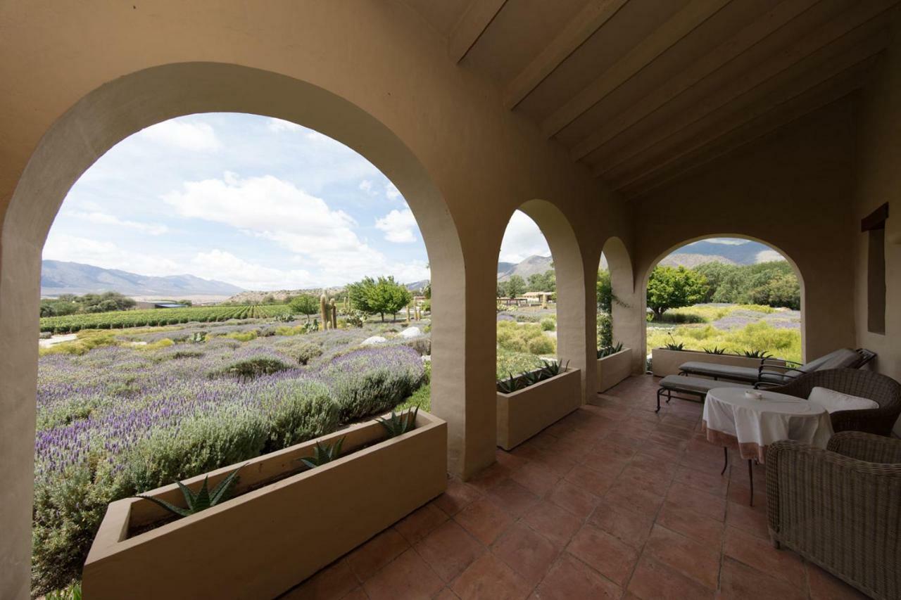 Estancia Colome Molinos Kültér fotó